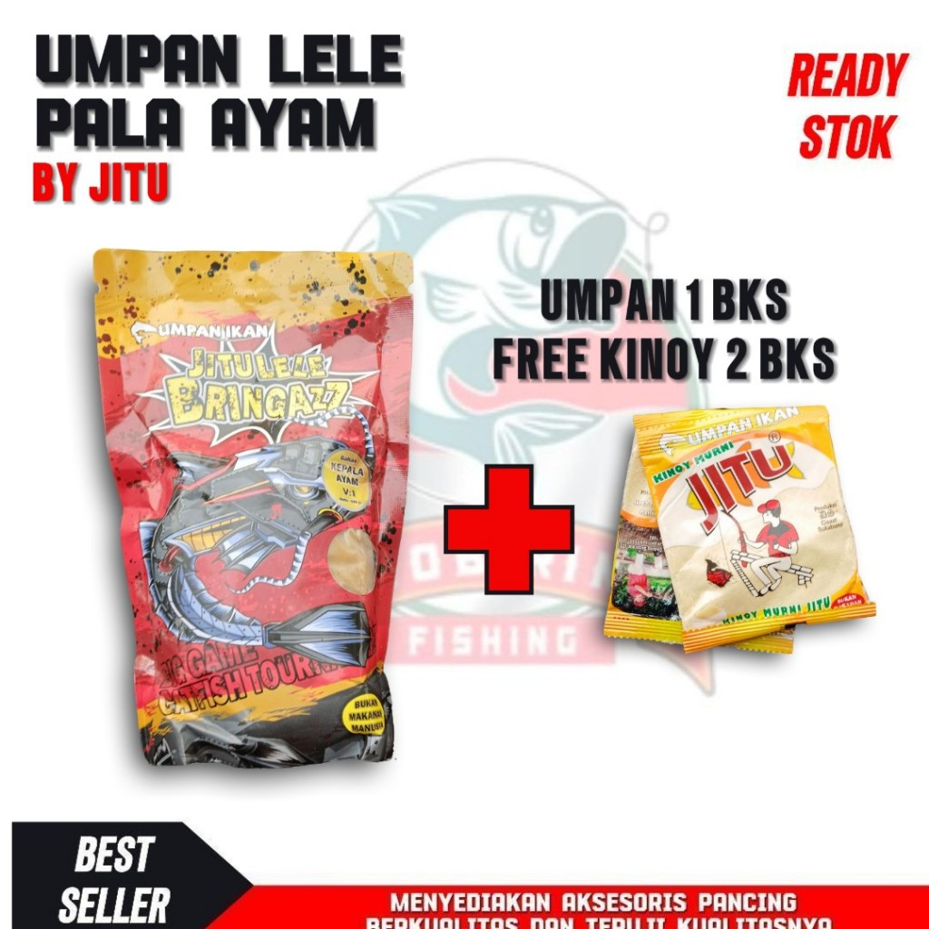 umpan galatama lele jitu bringazz pala ayam