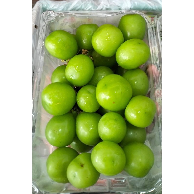 

Juraganbuah Anggur Muscat 1 Pack