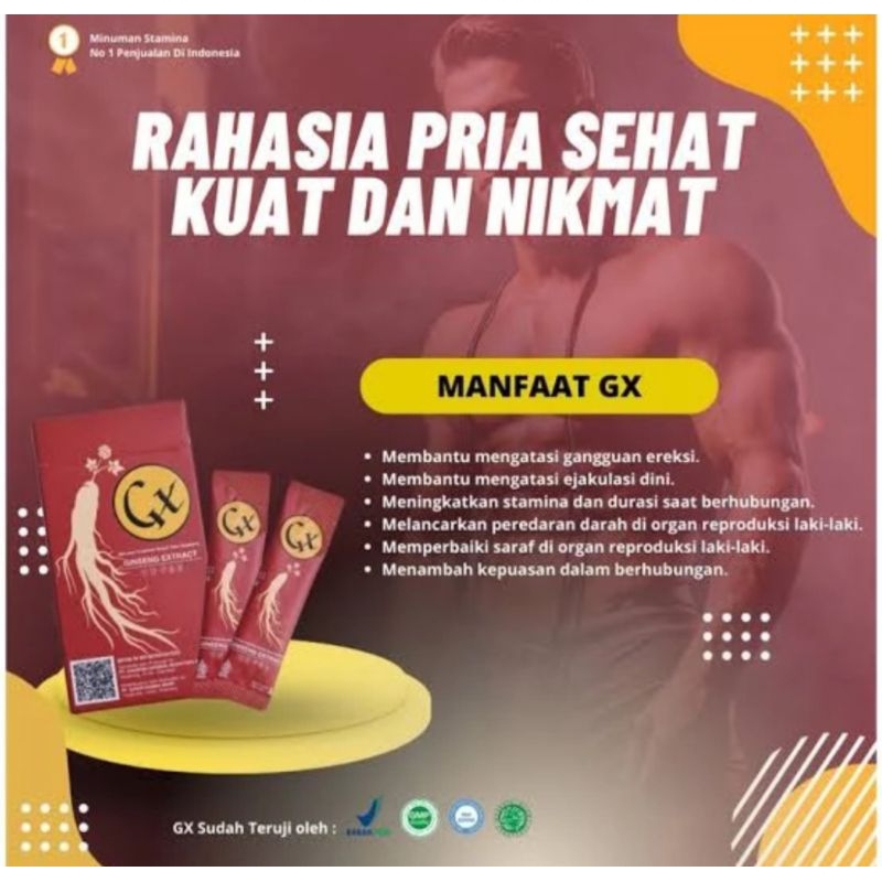 GX Ginseng Extract Original Minuman Serbuk Memperkuat Stamina Pria Hingga Optimal