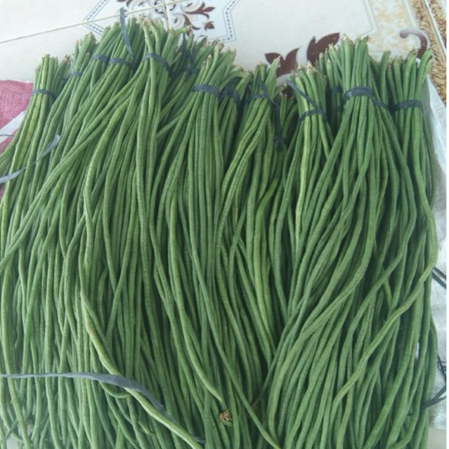 

Kacang Panjang Seikat