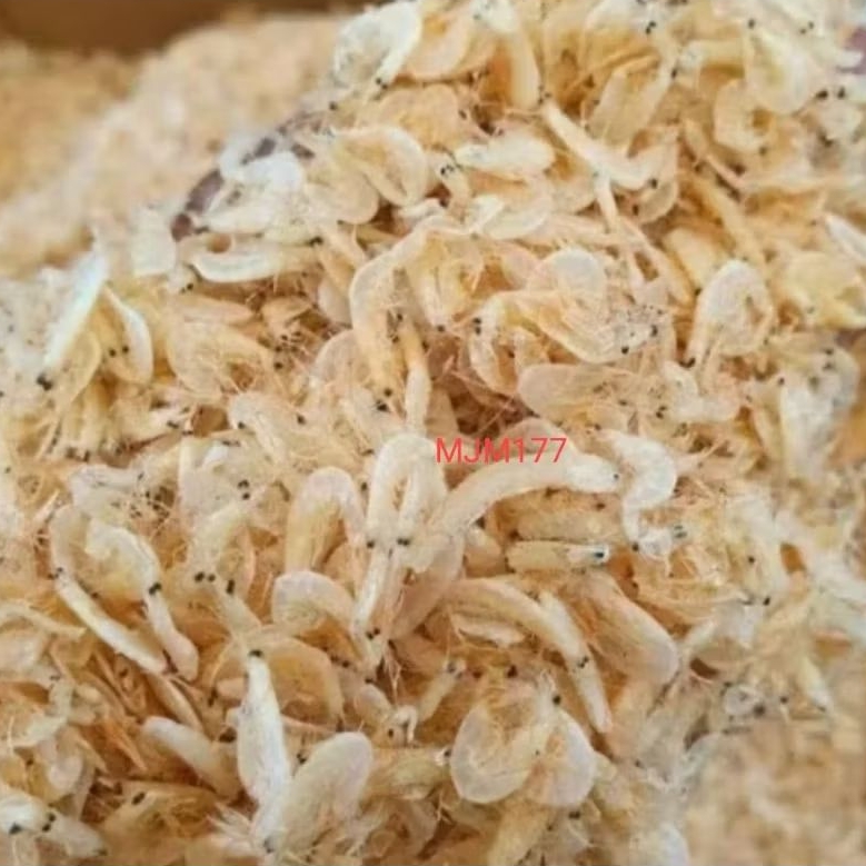 

udang kering reborn gragu grago udang kecil udang peyek