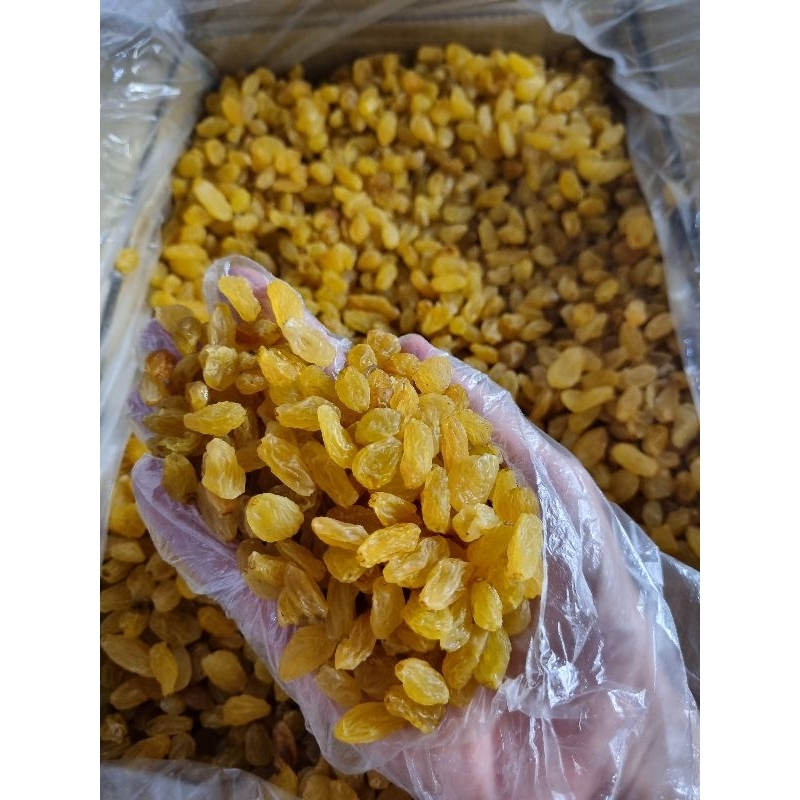 

Kismis Mutiara 1 Kg| Kismis Manis | Kismis Kecil Manis | Kismis Manis Premium