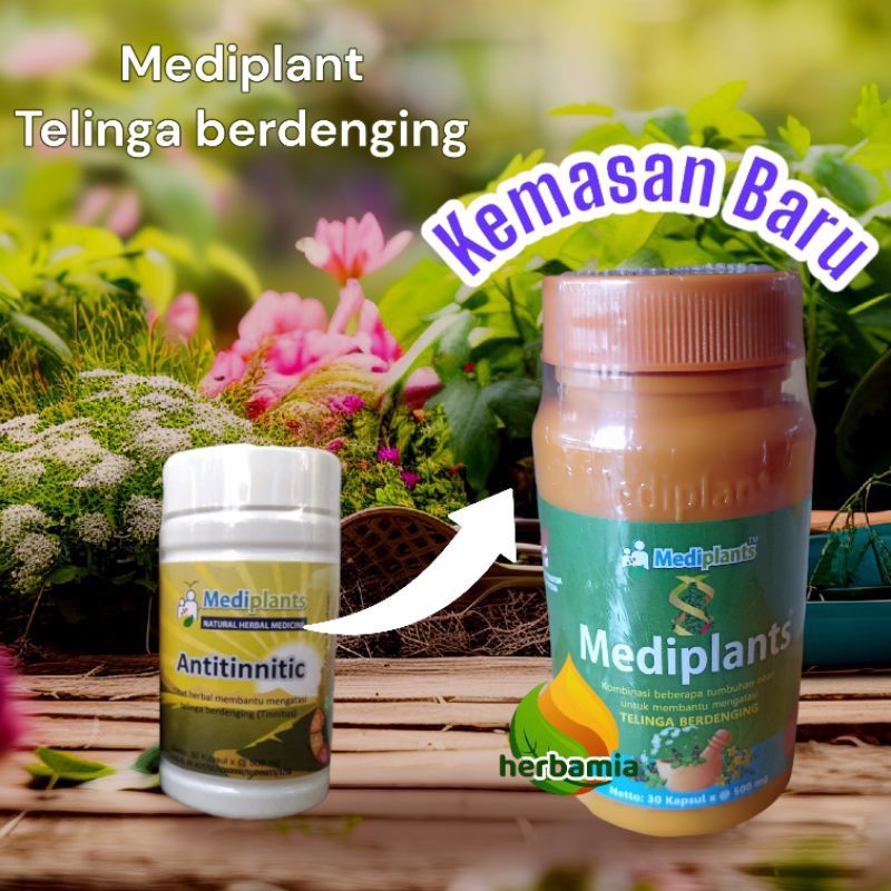 Obat Herbal Untuk TELINGA BERDENGING OTITIS MEDIA AKUT DAN TULI ANTITINNITIC Mediplants