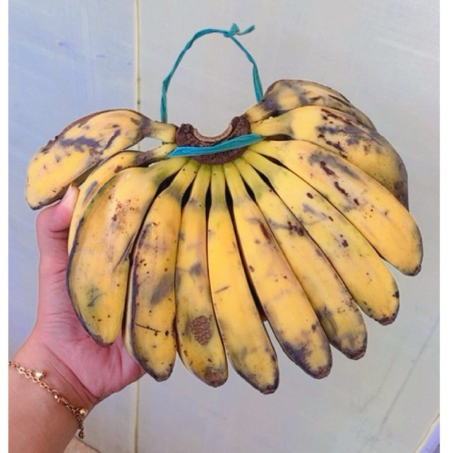 

Pisang Kepok 1 sisir/Pisang Sobo 1 Sisir/Pisang kepok Murah/Pisang Kepok Matang/Pisang kepok Mentah/ KHUSUS AREA JAWA TIMUR (Melayani Via Gosend Instant)