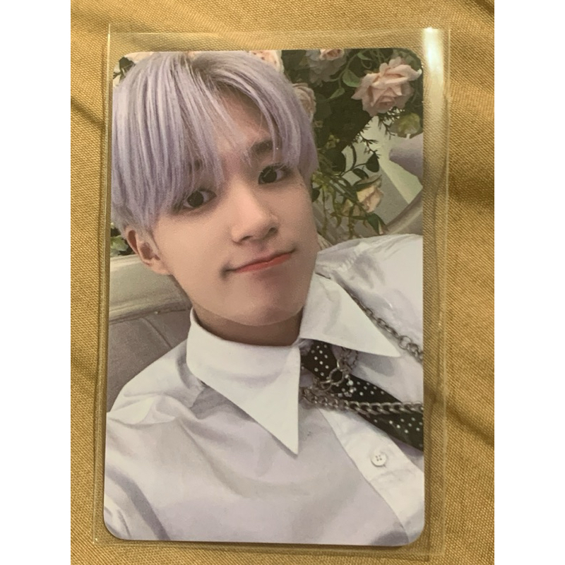 pc jeno everline istj breadsmile