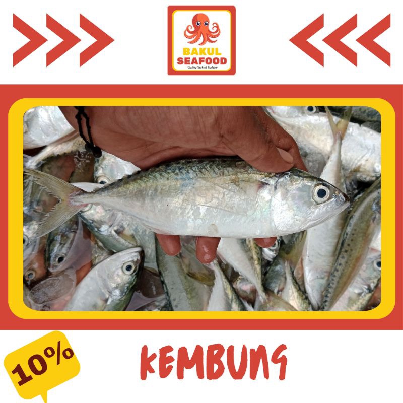 

KEMBUNG 500GR-1000GR