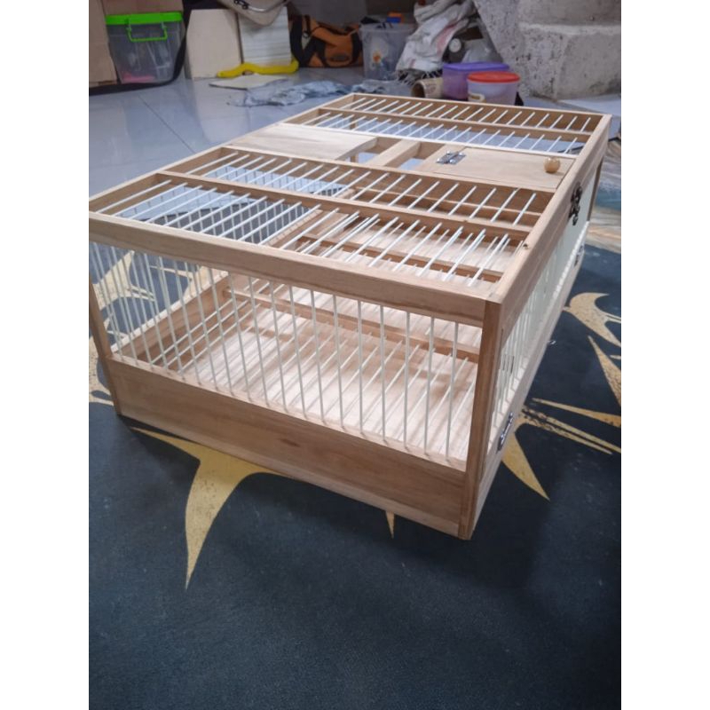 dongdang merpati pos