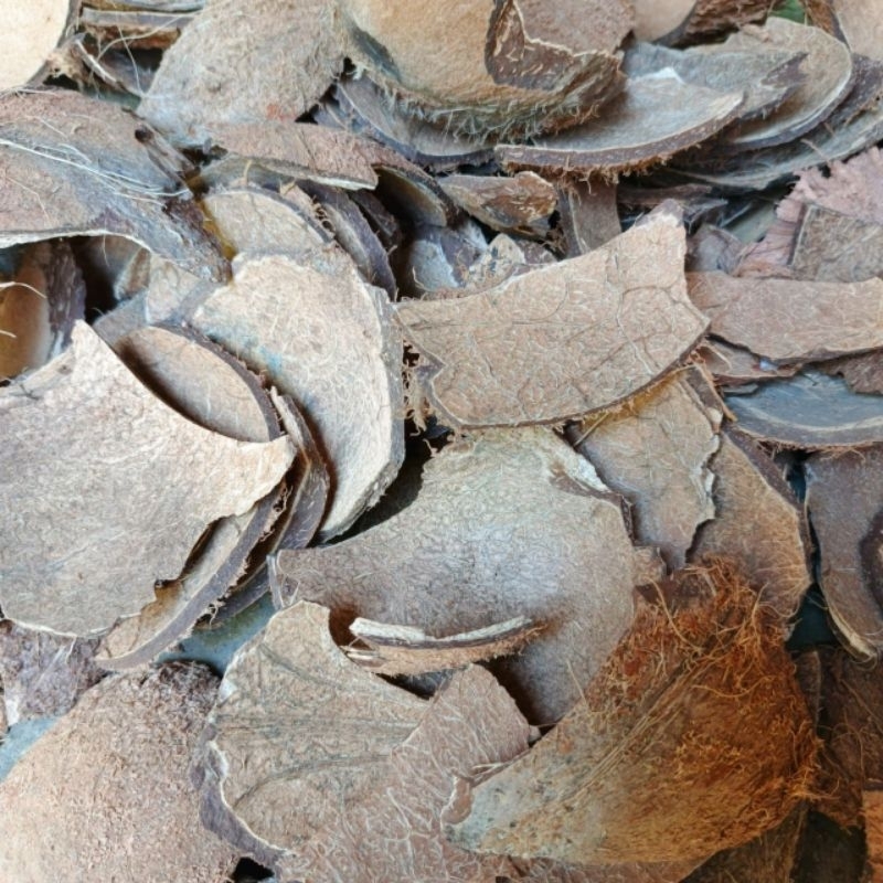 Batok Kelapa cacah kering termurah