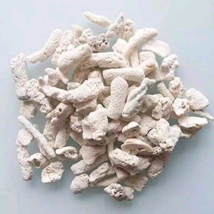 Karang Jahe Media PH Buffer Filter Kolam Koi include waring