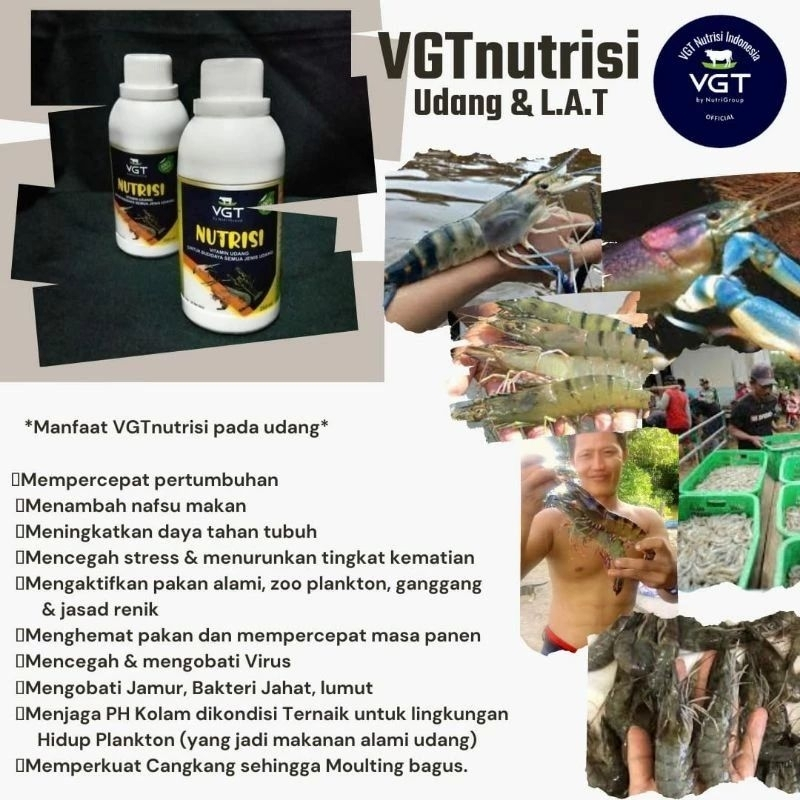 VGT Udang 250 ml - VGT Udang Tambak - Probiotik Udang 250 ml