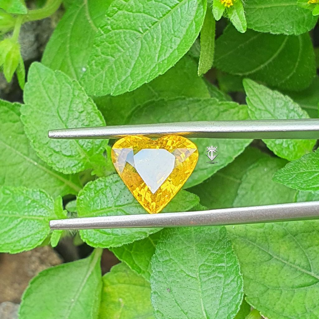 Batu Permata Natural Top Luster Yellow Sapphire Thailand Heart Shape 4.40 Cts CGL Lab Sertifikat