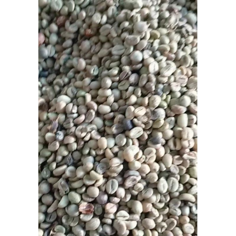 

biji kopi robuata mentah Lampung asalan grade 1 kering 1kg