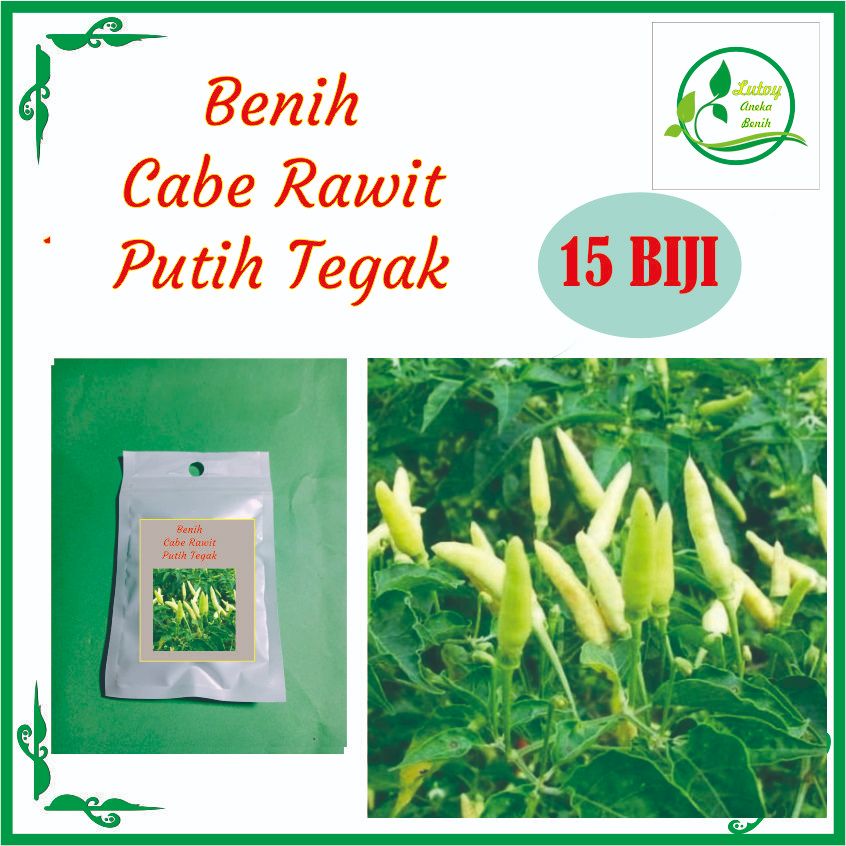BENIH CABE RAWIT PUTIH TEGAK ISI 20 BIJI