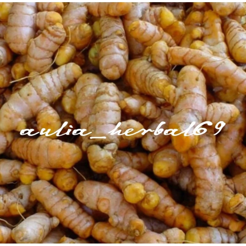 

500gr kunyit segar/kunyit masak/kunir
