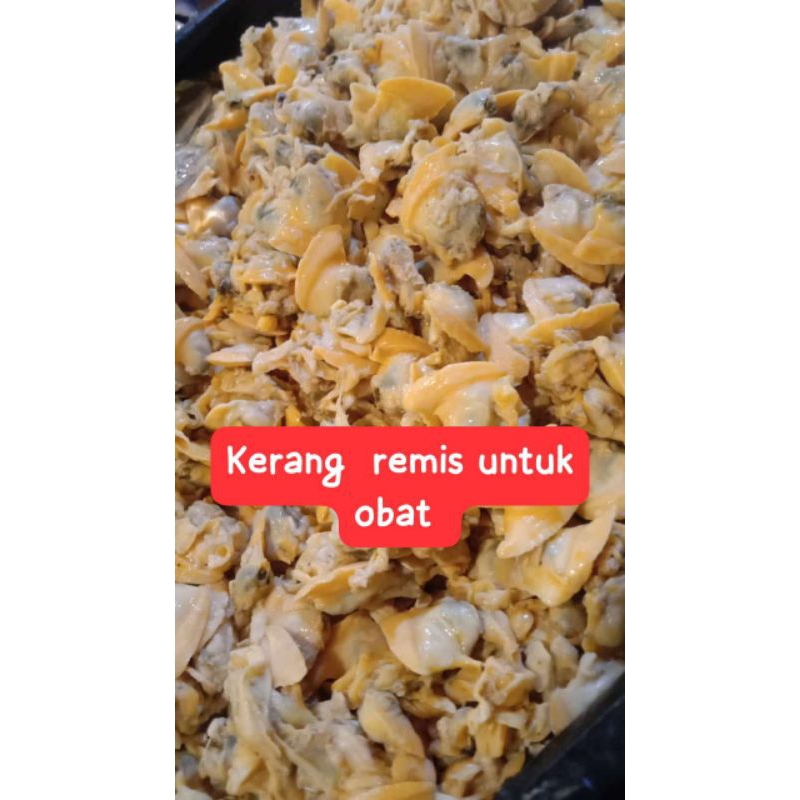 

kerang remis kupas segar