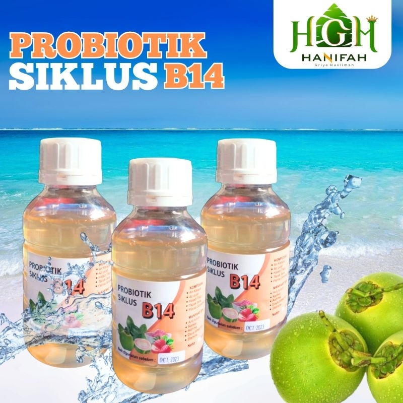 Probiotik Siklus B14/Probiotik/Stamina Tubuh/Daya tahan tubuh/Asma