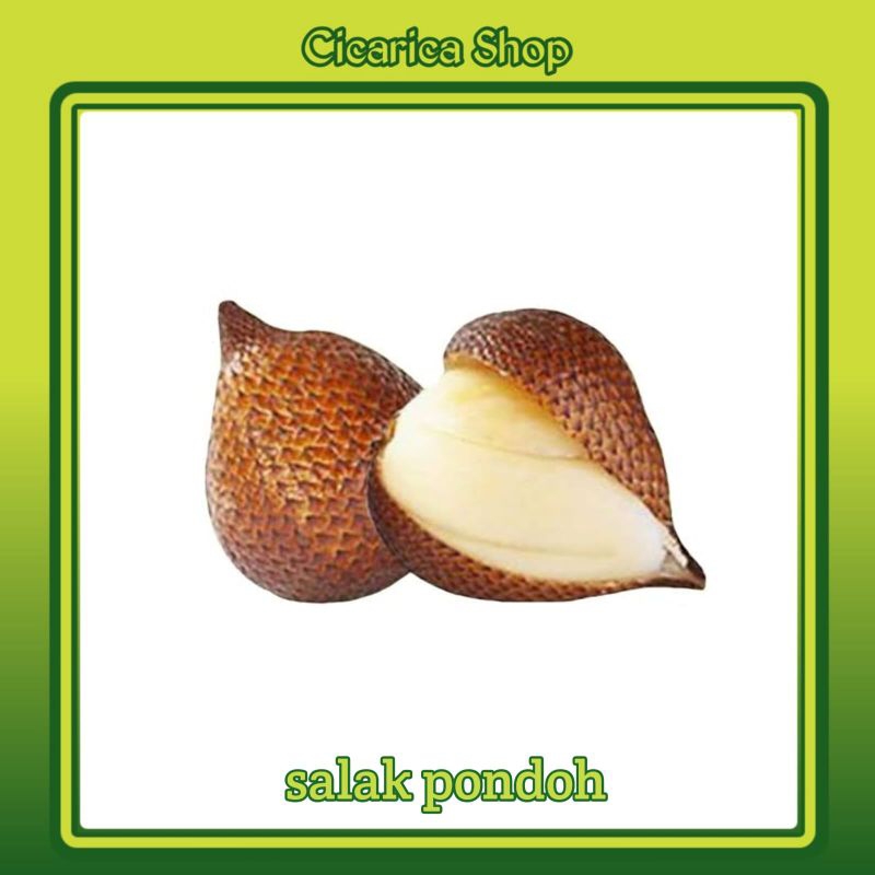 

Salak Pondoh