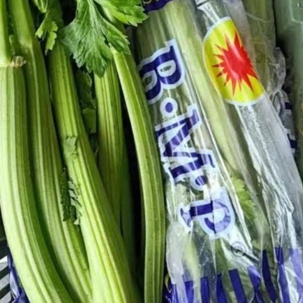 

Batang Seledri Segar Celery Stick Fresh 1 kg