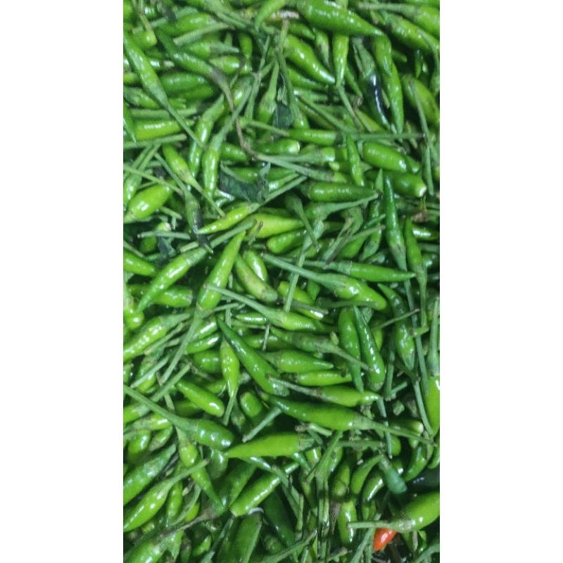 

rawit hijau (Japlak)