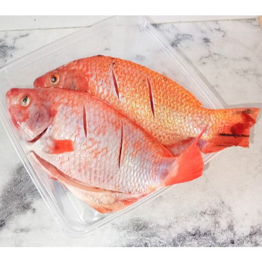 

Ikan NIla Merah Bumbu Kuning/Bakar ● Vakum Frozen Siap Goreng