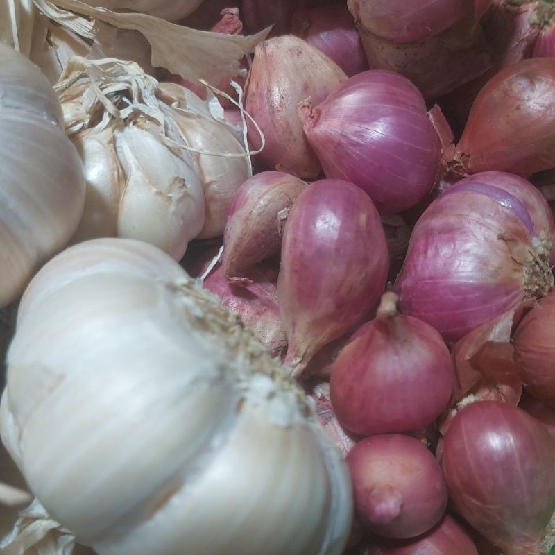 

Bawang merah dan putih 1,5 kg
