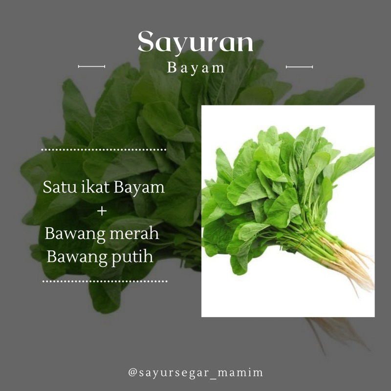 

SAYUR BAWANG LENGKAP DENGAN BAWANG MERAH DAN PUTIH