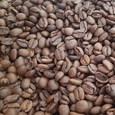 

Kopi Arabika Natural Sindoro Temanggung 1400 mdpl