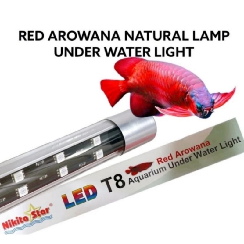 Lampu Tanning Taning Arawan Louhan 80 cm  T8 Nikita Star Lampu Aquarium