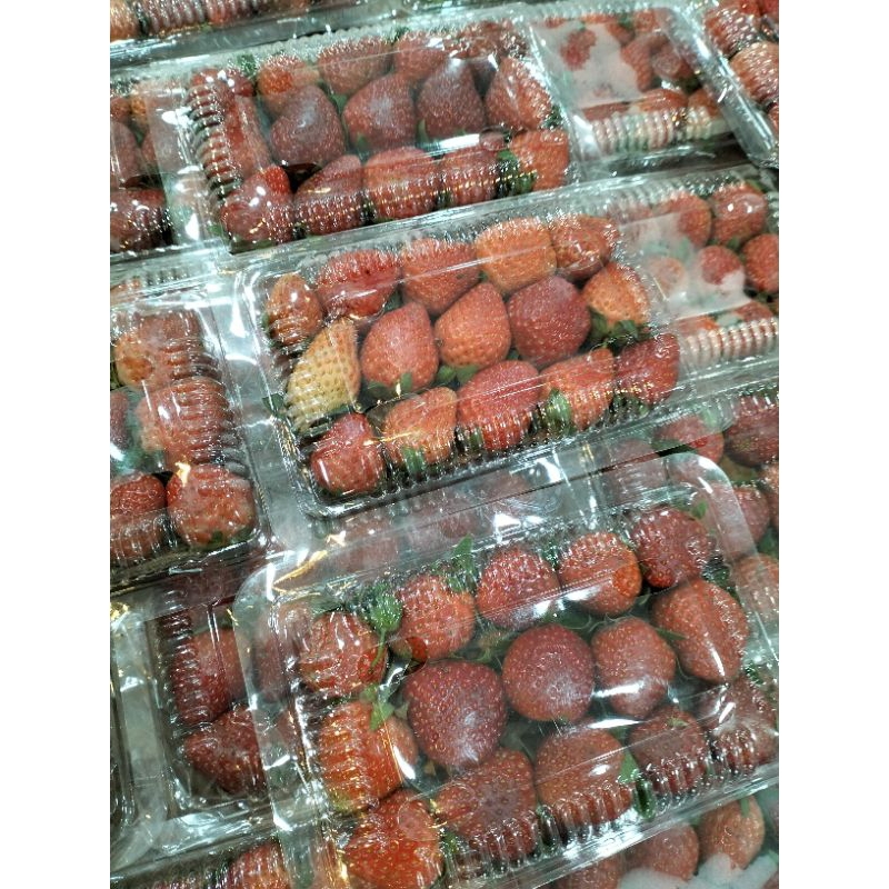 

STRAWBERRY LOKAL - HALONA