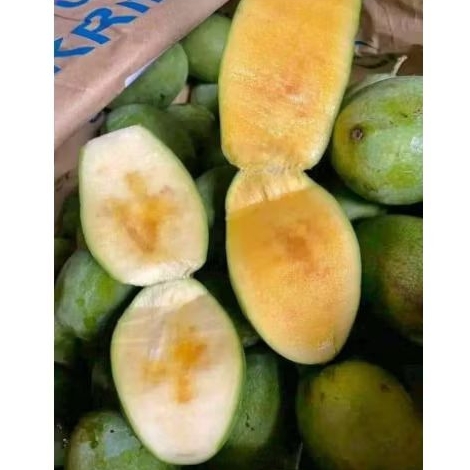 

MANGGA MANALAGI MADU