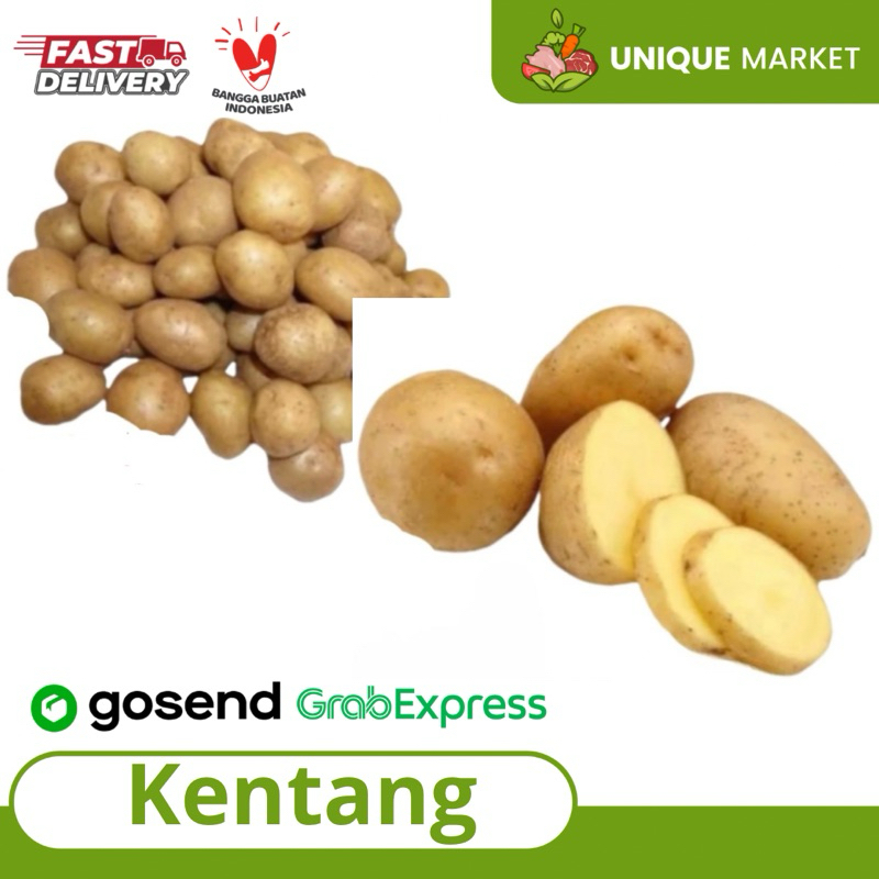 

Kentang Dieng Besar, Kentang Baby