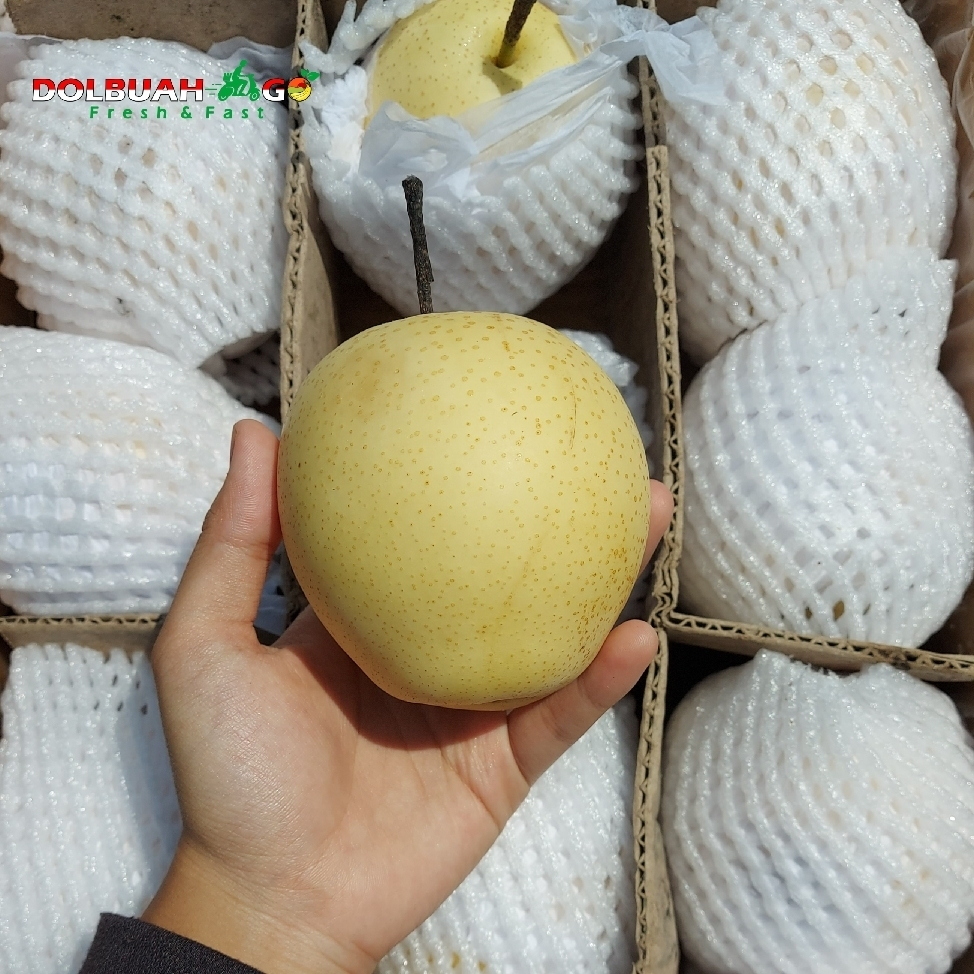 

Pear Century Buah Murah Fresh Berkualitas Semarang - Dolbuahgo