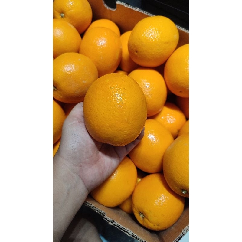

Jeruk Sunkist Navel Africa Import Segar 1 KG