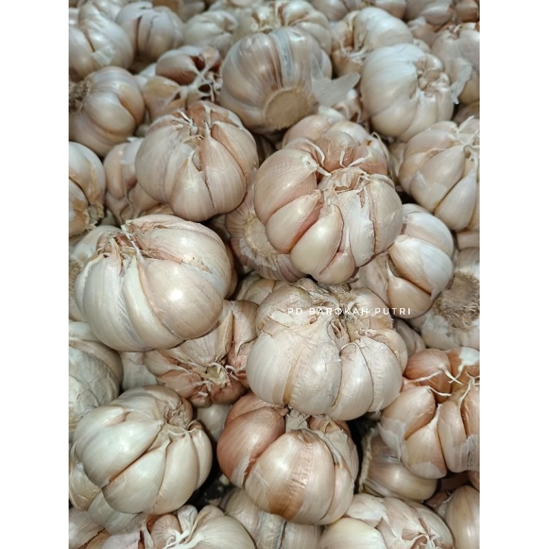 

Bawang Putih white garlic perkg