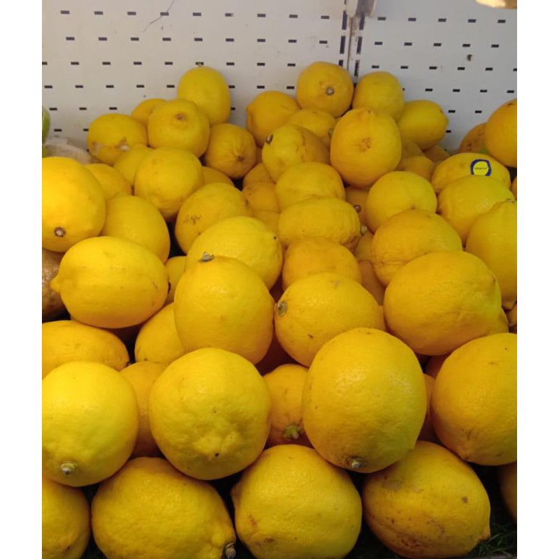 

BUAH LEMON , LEMON SEGAR , LEMON FRESH / LEMON PER 1 BIJI / KURANG LEBIH 150 GRAM