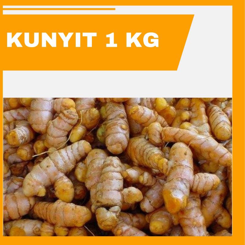 

KUNYIT SEGAR 1 KG