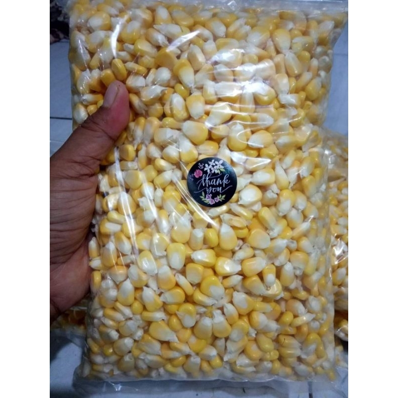 

(( FRESS )) (( AREA JATIM )) JAGUNG MANIS PIPIL JASUKE 1000 GRAM 1 KG LANGSUNG DARI PETANI