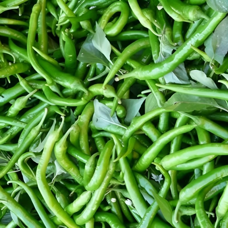 

Cabe hijau besar 1 kg - 2 kg