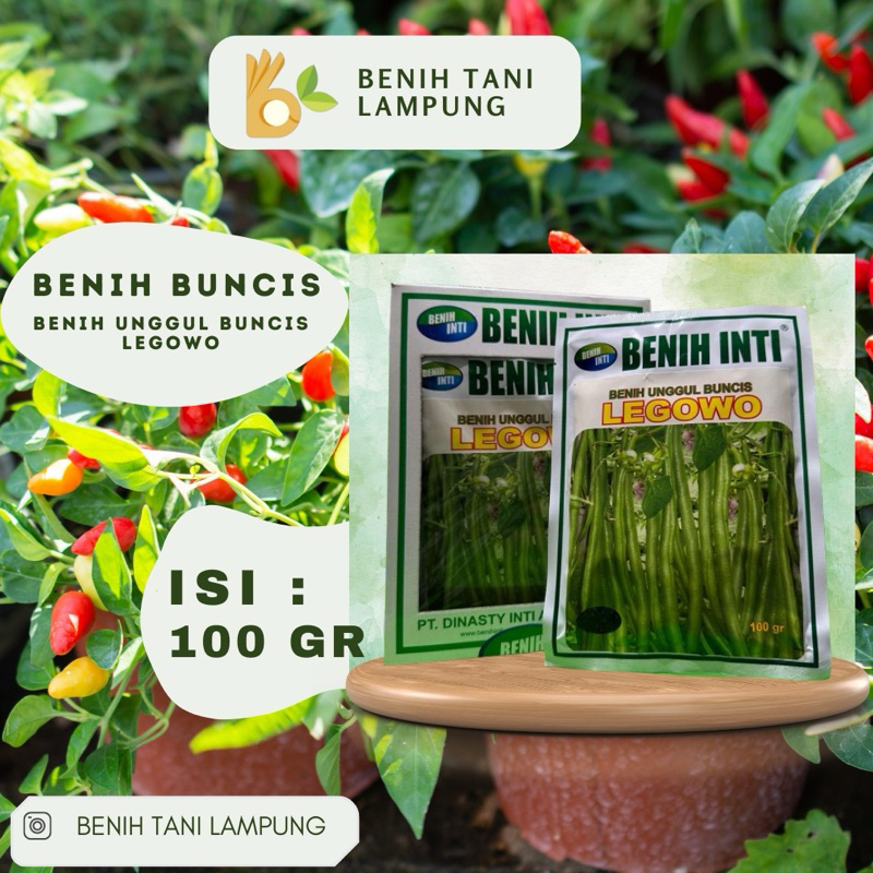 BENIH BUNCIS LEGOWO 100gr BENIH INTI