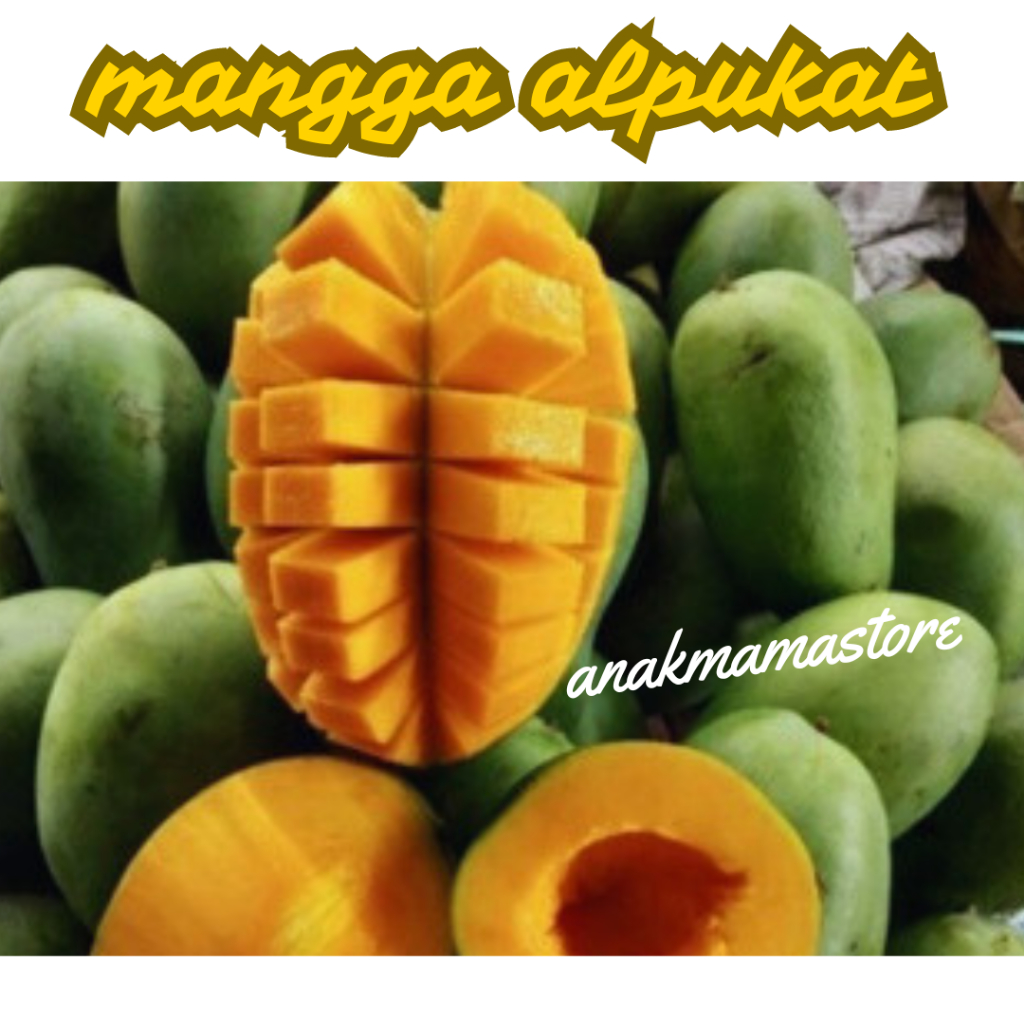 

Buah Mangga Alpukat Mangga Alpukat Fresh