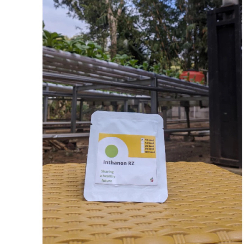 Benih melon inthanon 10 biji ( repack ) RZ murah