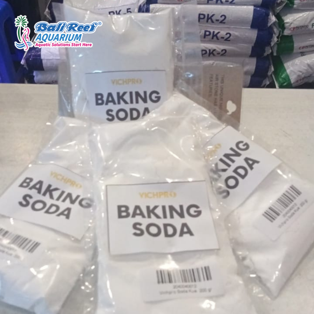 Baking Soda Bahan CO2 DIY Aquascape Soda Kue CO2 DIY