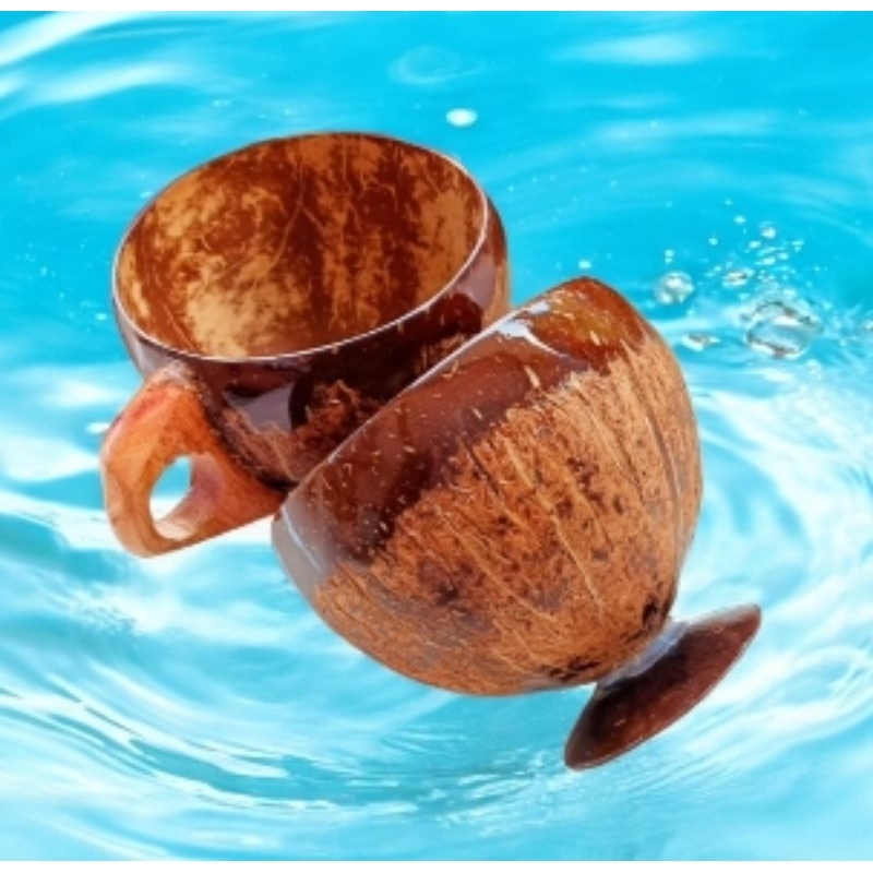 gelas batok kelapa