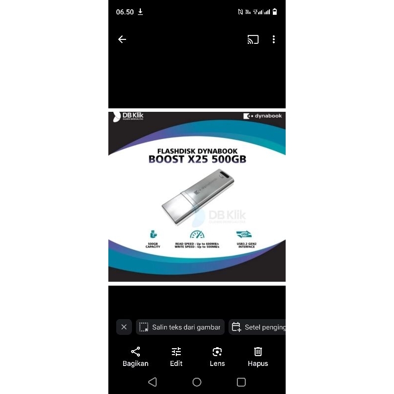 Flashdisk dynabook 500gb