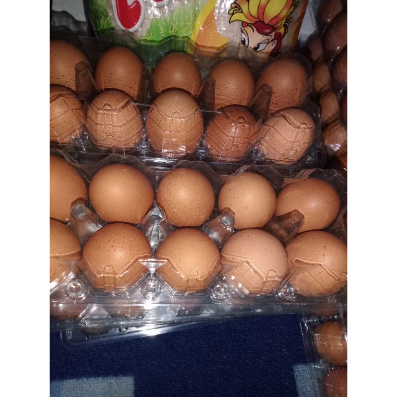 

telur ayam 10 butir kemasan mika
