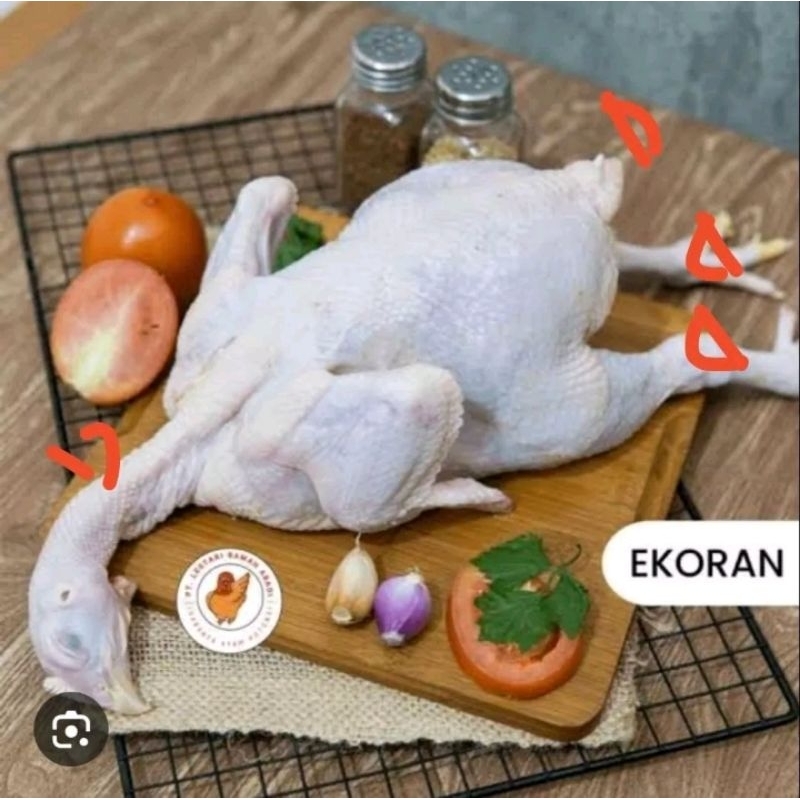 

ayam 1 ekor