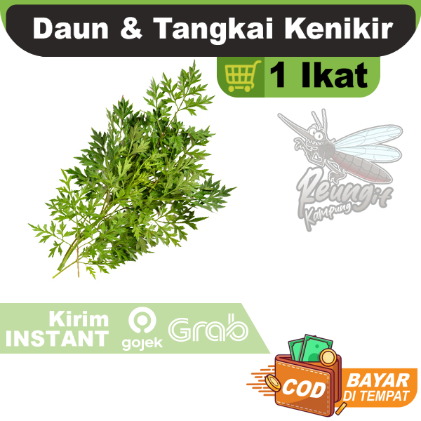 

Kenikir Ramidang Lalapan 1 Ikat