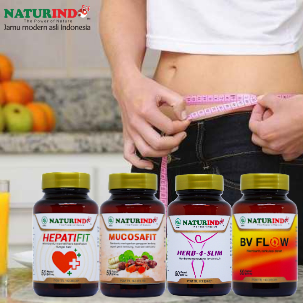 Paket Pelangsing Diet Sehat Langsing Penghancur Lemak Naturindo