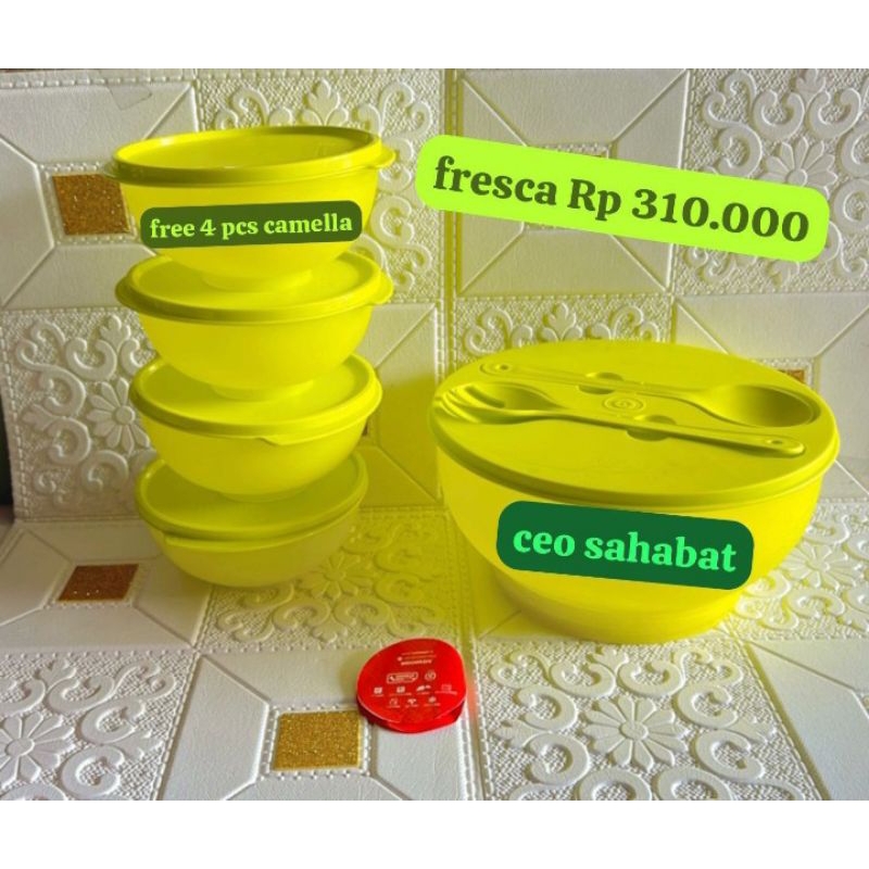 MOORLIFE FRESCA FREE 4PC CAMELLA