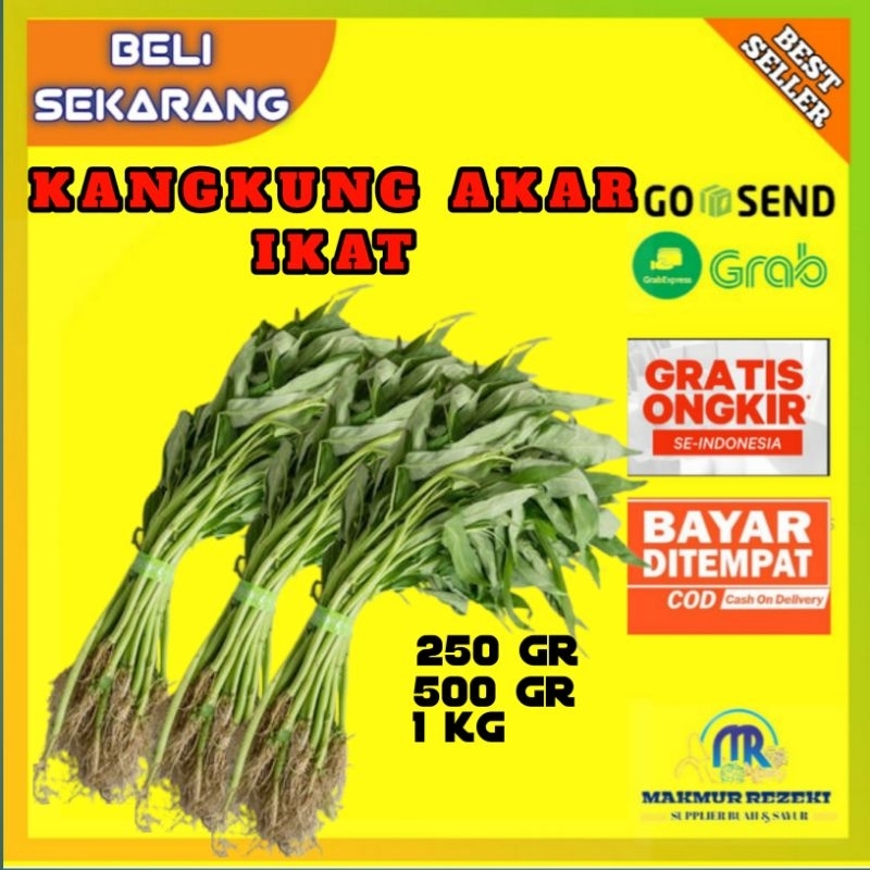 

KANGKUNG AKAR 250GR 500GR 1KG